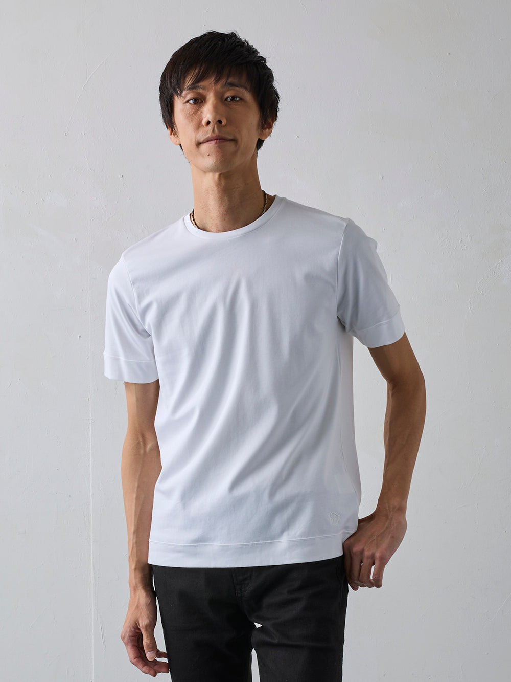 スビンプラチナムT／スリムフィット／クルーネック – TORIHS WHITE GALLERY