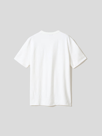 スビンプラチナムT／スリムフィット／Vネック