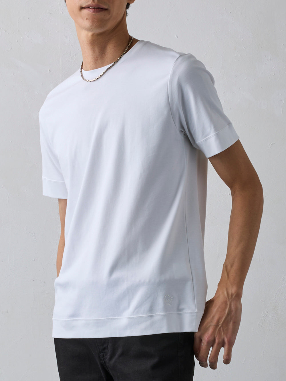 スビンプラチナムT／スリムフィット／クルーネック